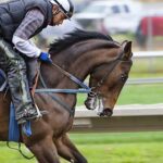 How to become a horse riding instructor: Elvis’s story How to become a horse riding instructor: Elvis’s story