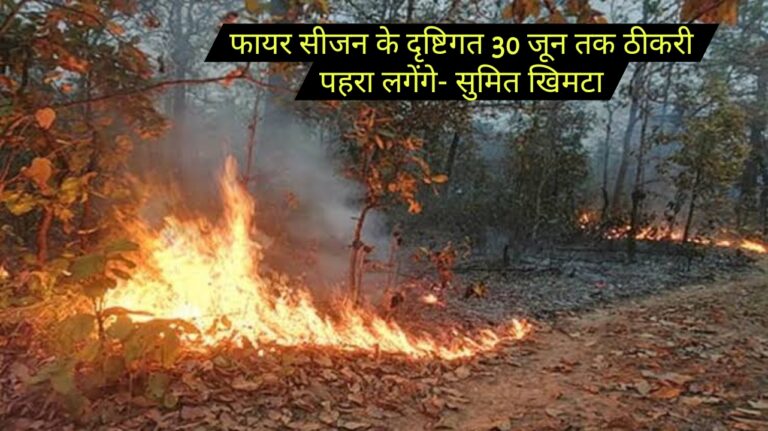 फायर सीजन के दृष्टिगत 30 जून तक  ठीकरी पहरा लगेंगे- सुमित खिमटा