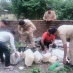 Paonta Sahib पुलिस ने नष्ट की 1 लाख 68 हजार ML अवैध शराब