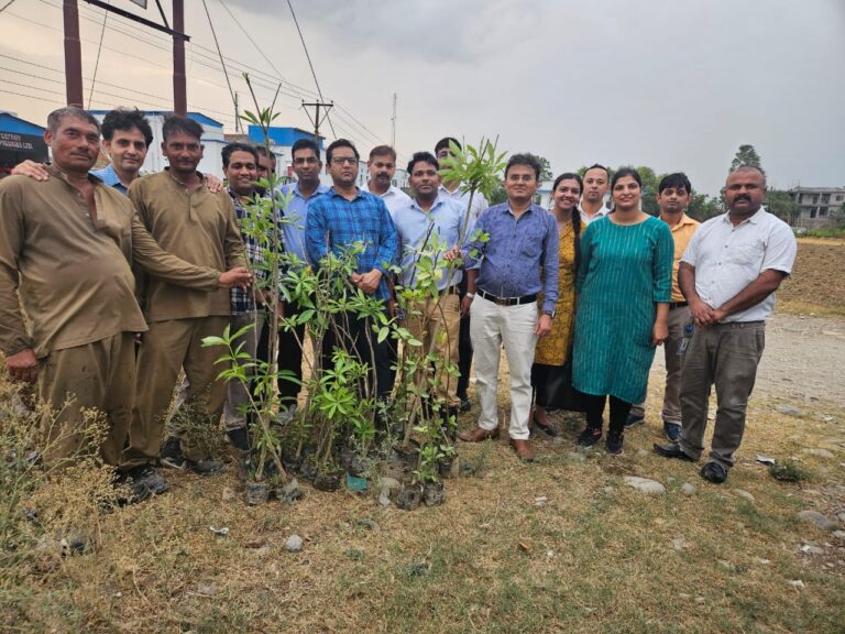 विश्व पर्यावरण दिवस पर किशनपुरा क्षेत्र में फार्मास्युटिकल पेशेवरों ने किया वृक्षारोपण.