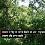 सिरमौर: जंगल में पेड़ से लटके मिले दो शव, पहचान और कारण की जांच जारी