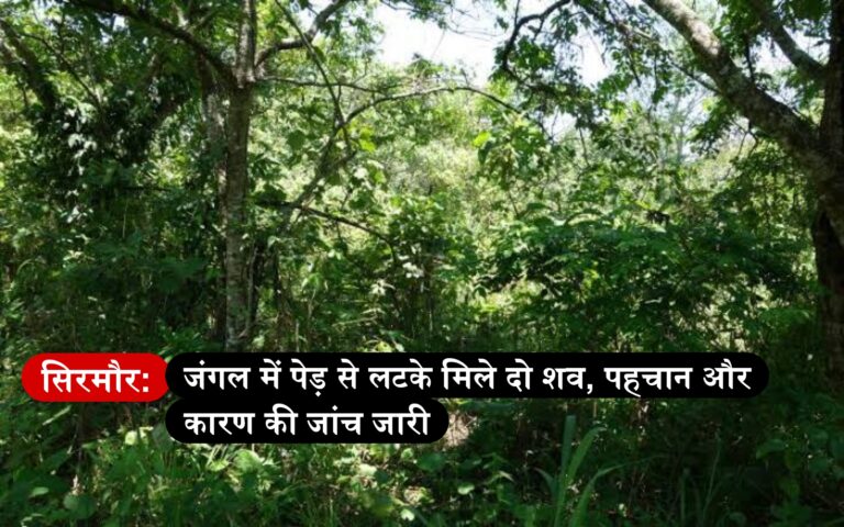 सिरमौर: जंगल में पेड़ से लटके मिले दो शव, पहचान और कारण की जांच जारी