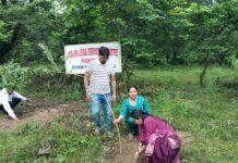 Paonta News: बरसात में पौधारोपण, गर्मियों में देखभाल—संरक्षण का लिया संकल्प बरसात में पौधारोपण, गर्मियों में देखभाल—संरक्षण का लिया संकल्प