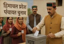 Himachal : पंचायत चुनाव पर बड़ी अपडेट, पंचायतों और नगर निकायों की सीमाओं में बदलाव पर रोक..
